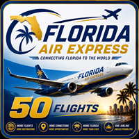 When a pilot has 50 flights, give this award